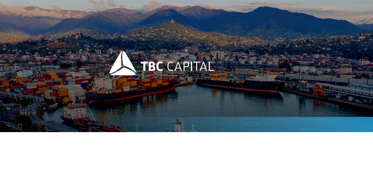 Mapping growth and gaps in Georgia’s logistics